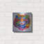 «Tiger Splash» d'Ivan Negrete-750590282