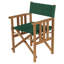 Safari Outdoor Teak Dining Armchair-348485382