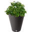 Valencia Composite Pot Planter-1862469289