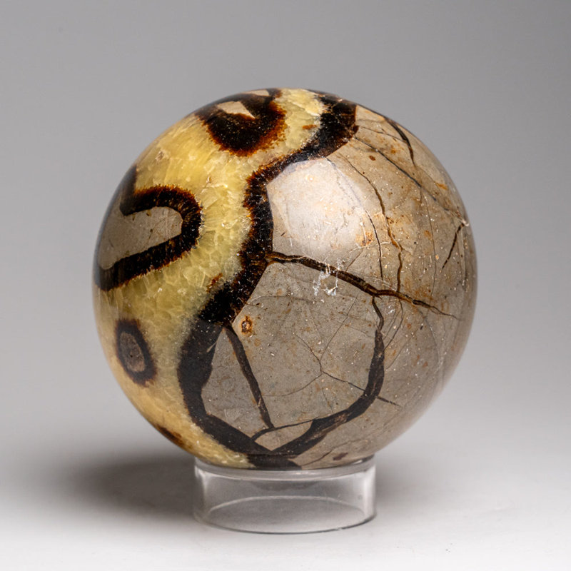 Genuine Polished Septarian (2") Sphere from Madagascar, 3.5" H x 3.5" W x 3.5" D, Yellow/Brown