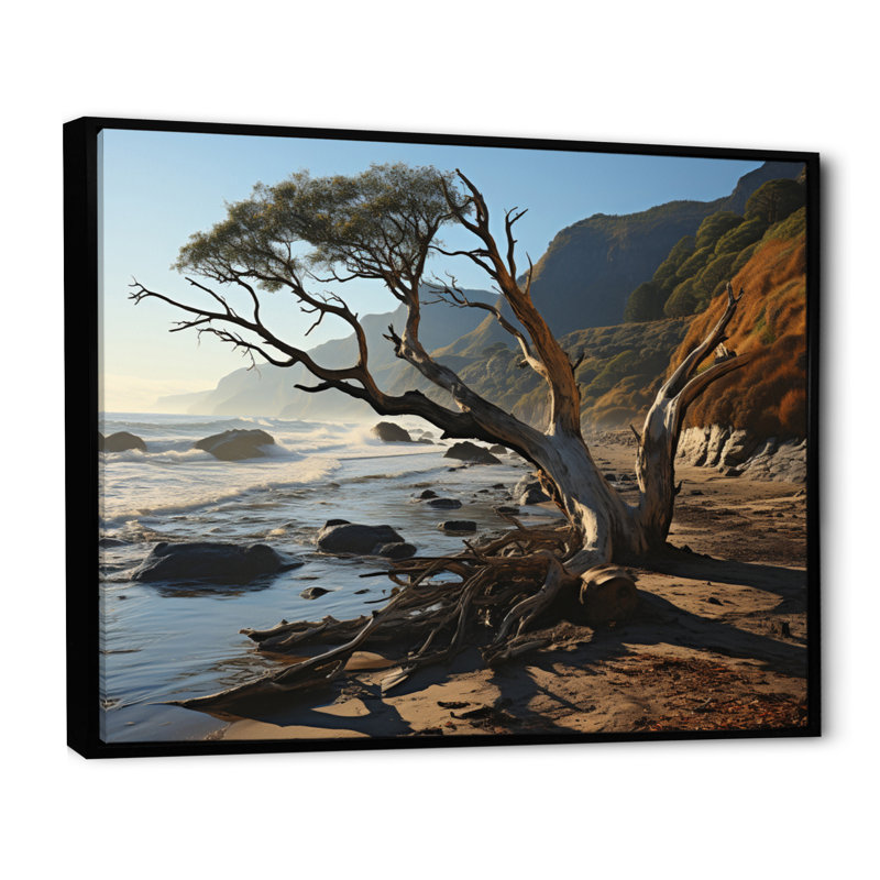 Photo de plage ensoleillée - I, H 12 po x l 20 po x P 1 po, Cadre flottant noir