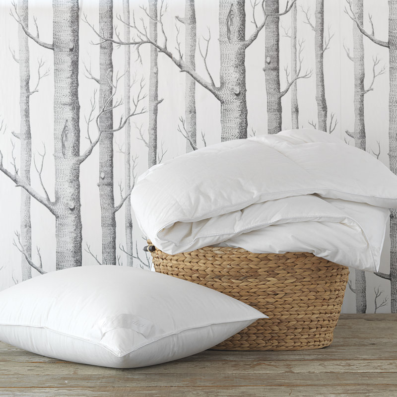 Concerto Premier Down Comforter - Medium, Twin