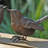 Cordero Handmade Resin Figurine / Sculpture Decorative Object