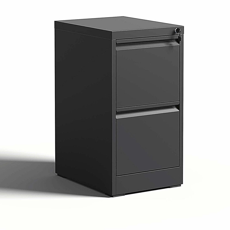 2 Drawer Metal Vertical File Cabinet with Lock Office Home Steel Vertical File Cabinet, Black