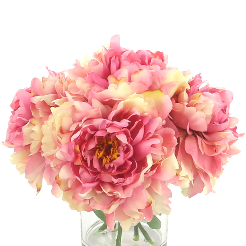 Peonies Arranged in Glass Vase, Pink/Beige