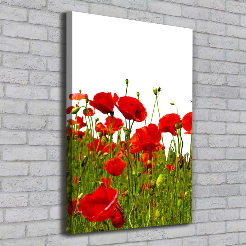 Field Of Poppies - Wrapped Canvas Print