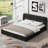 Queen Size Upholstered Platform Bed-1805547131