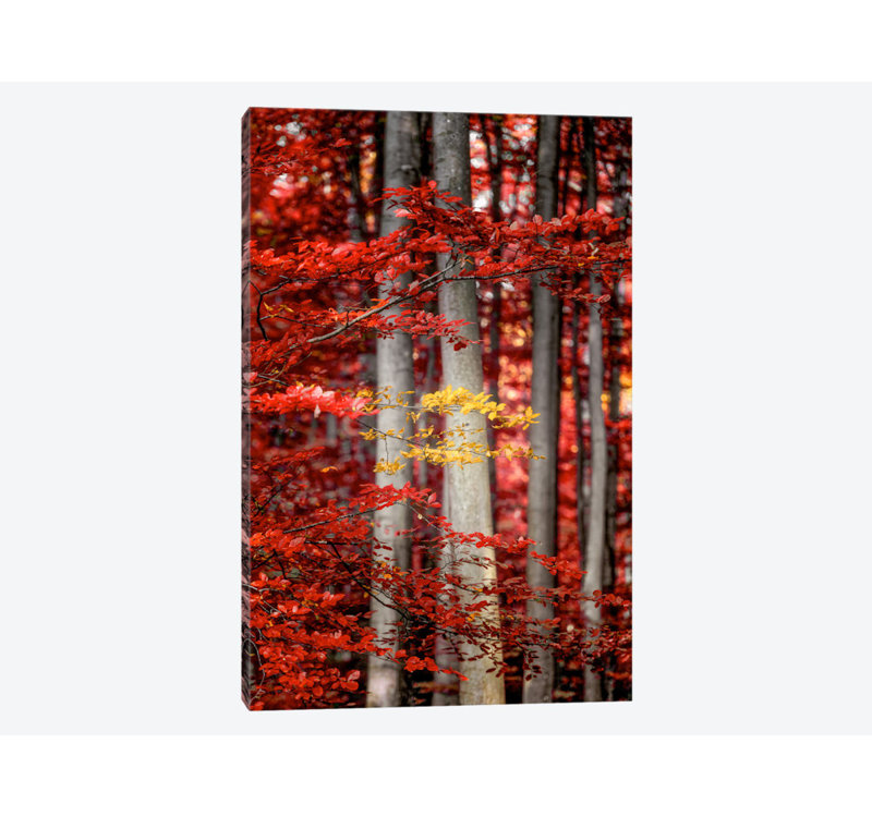 « derniers moments », reproduction de photo sur toile, H 18 po x l 12 po x P 1,5 po