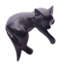 Gammaro Catnap-1695614490