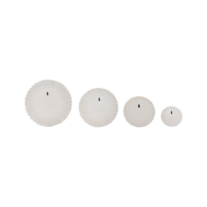 Sea Urchin Wall Art, Set Of 4