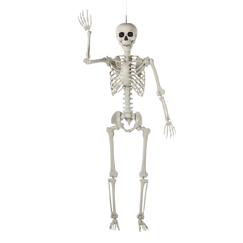 Life-Size Posable Skeleton Halloween Decoration in Plastic