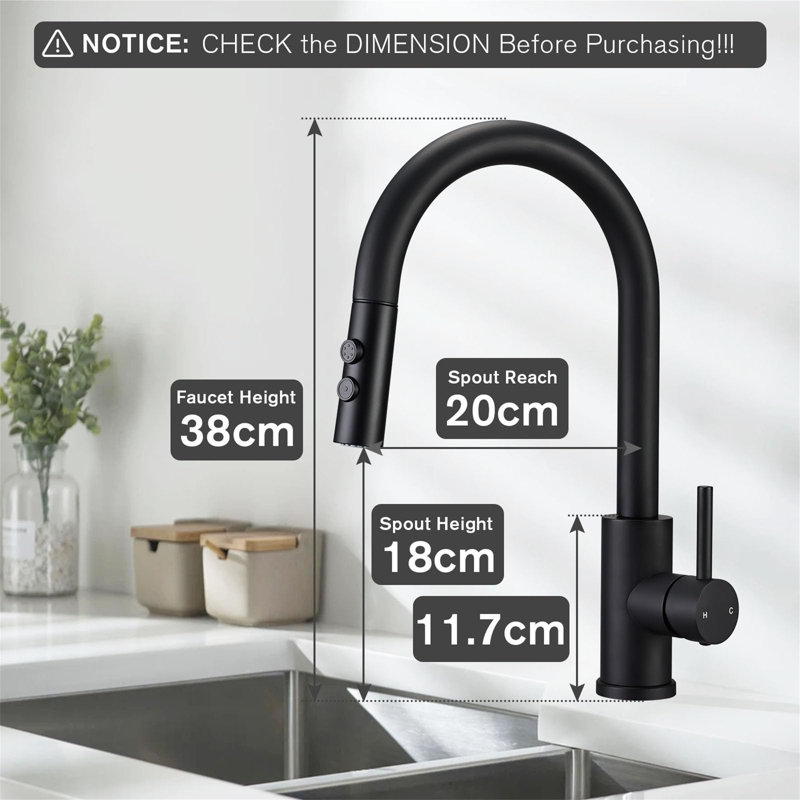 Metro Lane Daury Kitchen Faucet, Matte Black