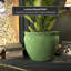 Medallion Urn-347584823-347584828