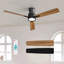 2 pièces 52 pouces ventilateur de plafond avec lumière-1701290326