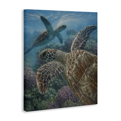 Baie de tortue sur toile de récif, conception par Collin Bogle