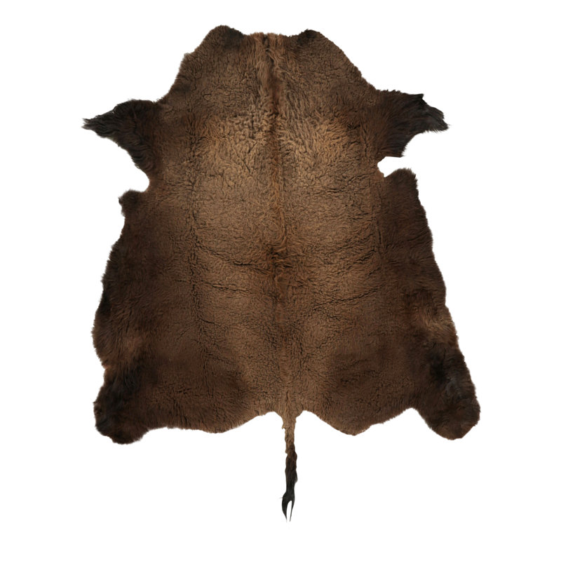 Rug & Kilim’S American Bison Hide Fur Rug In Chocolate Brown Tones