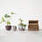 Nathaly Pot Planter