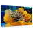 Brampt Saltwater Fish-107719753