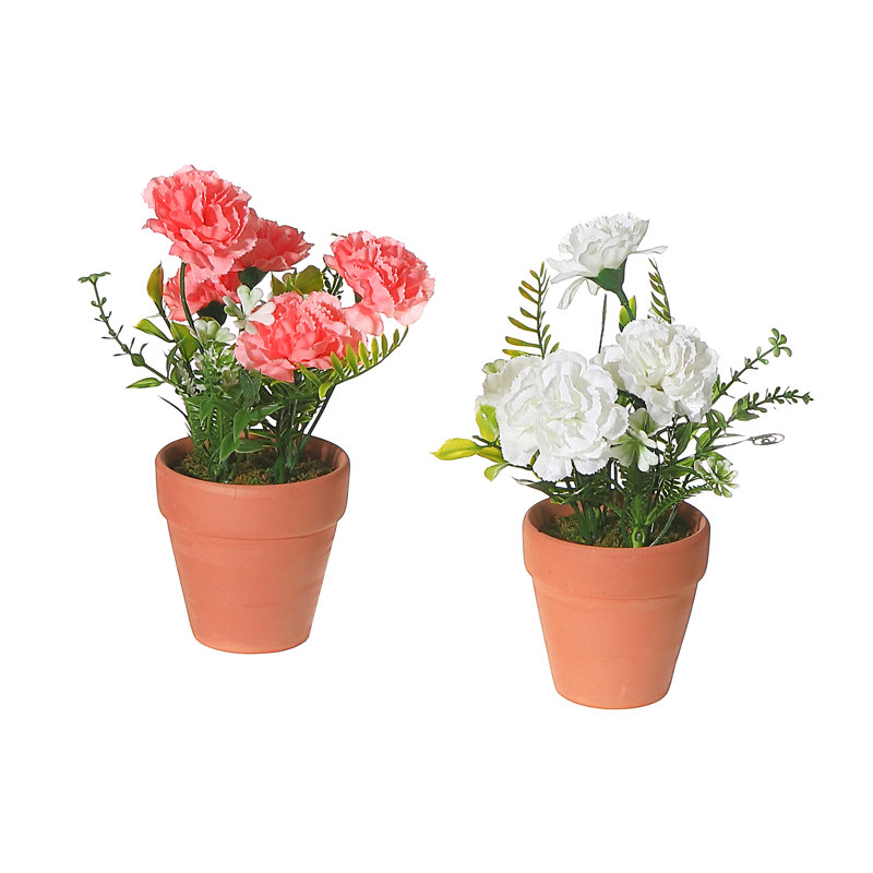 Arrangement floral d'œillets en pot