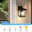 Aviyanah Wall Light