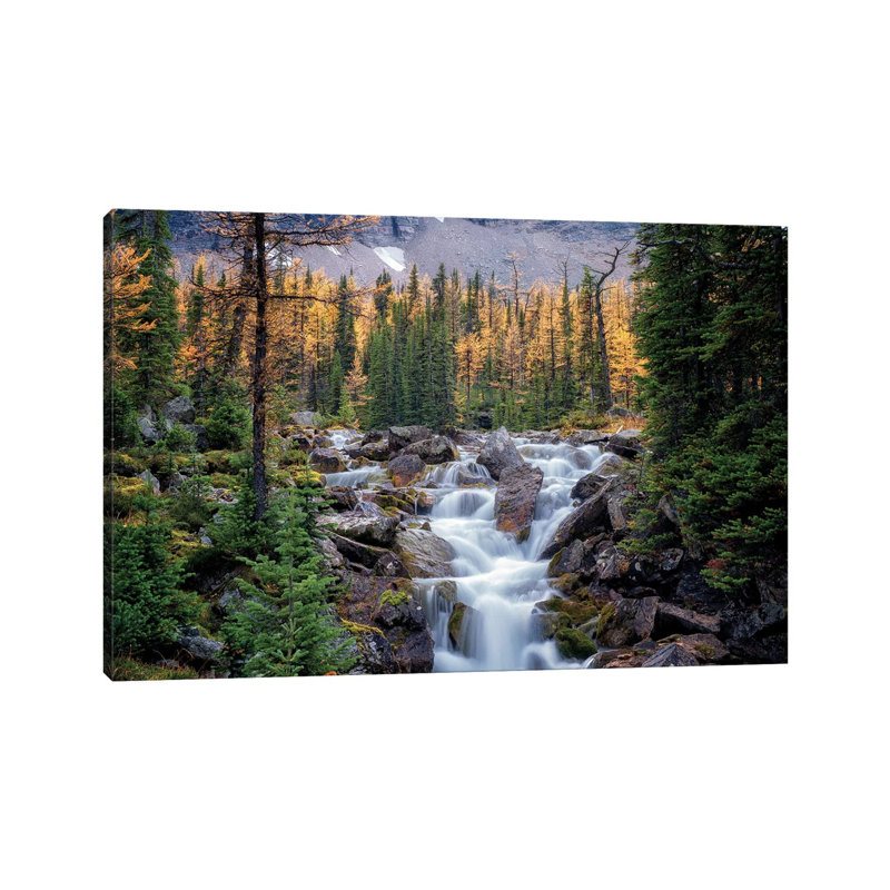 Canadian Falls by Dennis Frates - Wrapped Canvas Gallery-Wrapped Canvas Giclée, 30.48 cm H x 45.72 cm W
