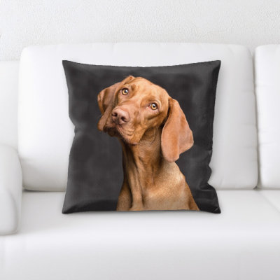 Coussin pour chien