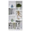 Gariella Bookcase-1256085747