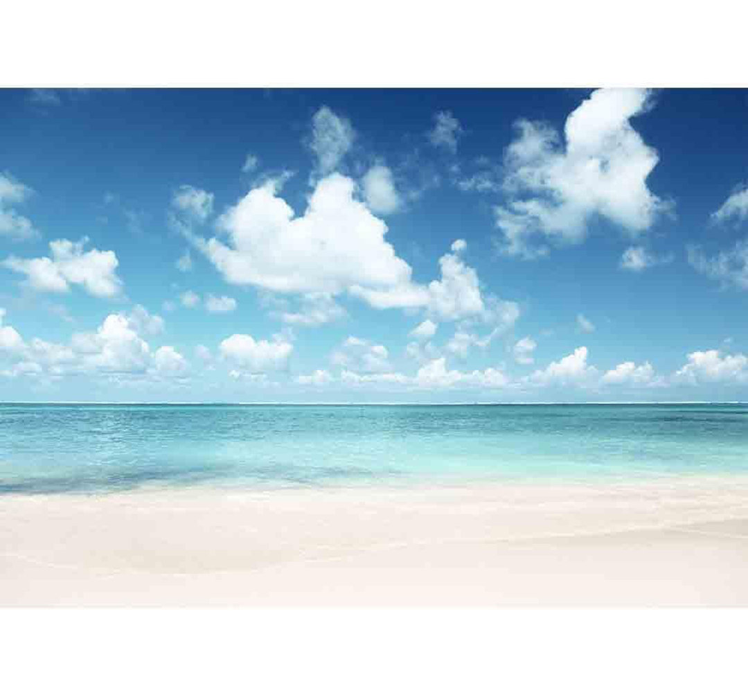 Sand of Beach Caribbean Sea Paintable Wall Mural IDEA4WALL 