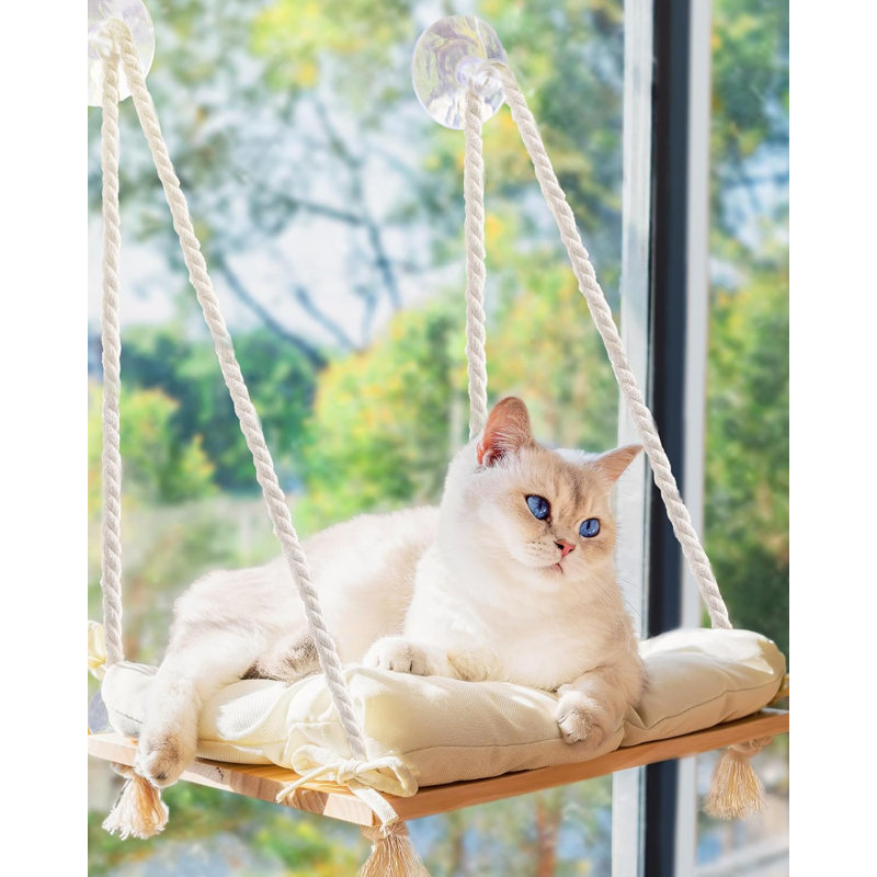 Perchoir pour fenêtre de chat avec ventouses de qualité industrielle - lit hamac en bois de pin massif, coussin moelleux - capacité de 42 lb pour les chats à l'intérieur