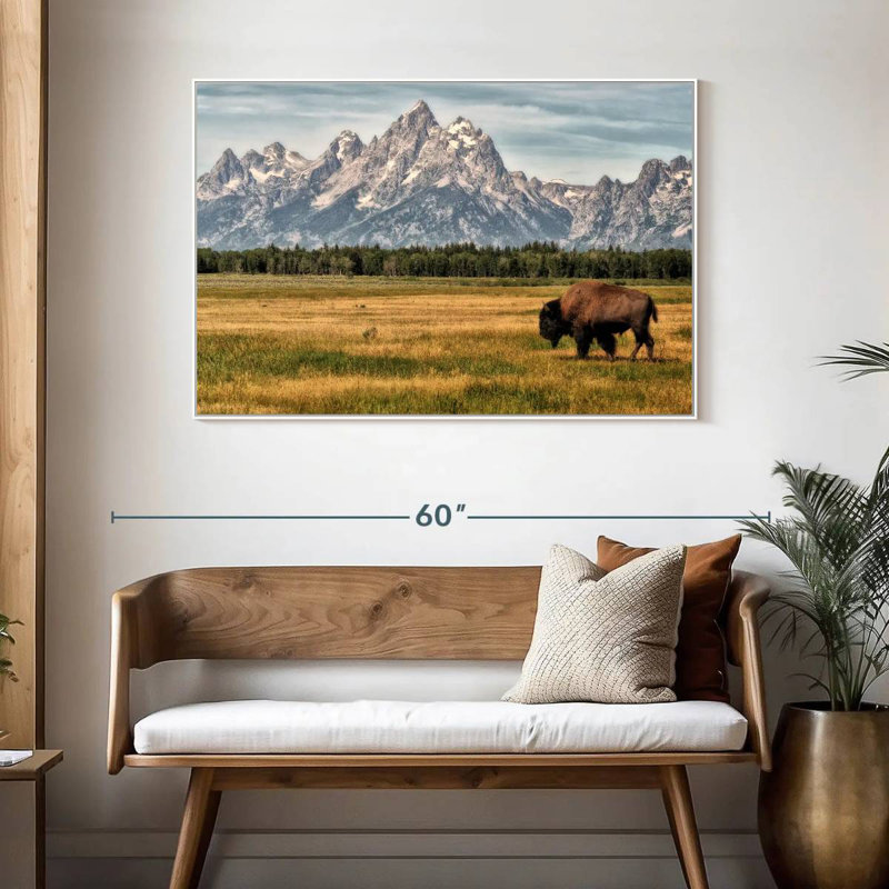 Bull Bison à Grand Teton, Cadre flottant blanc, 46 po x 31 po