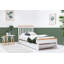 Dement 90 X 190cm Daybed with Trundle Included-1969291158