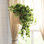 Plante lierre artificielle 26 "