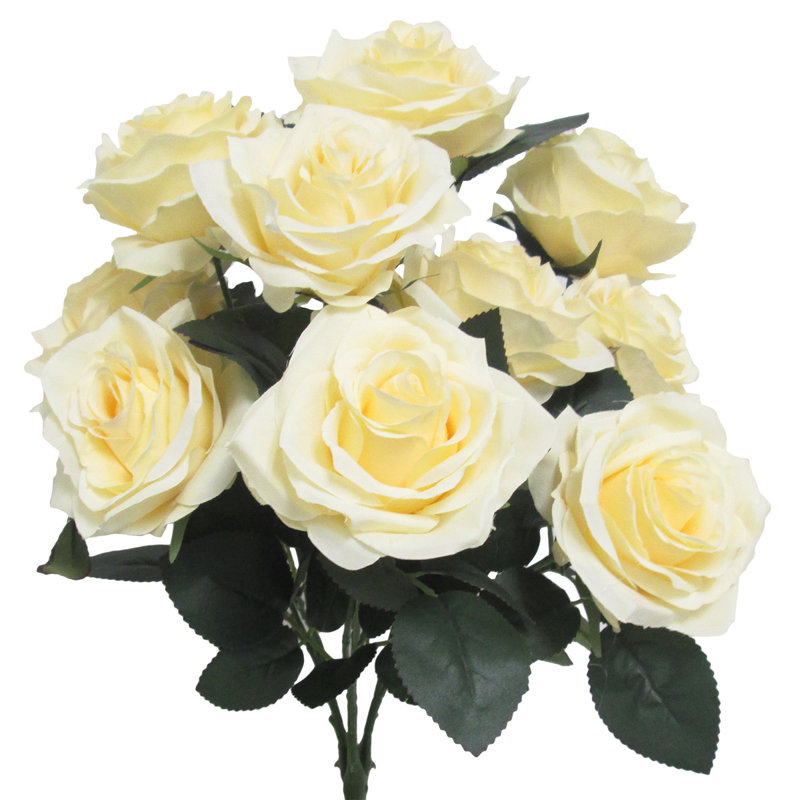 Grand rosier Jaafer Deluxe, Ivoire ivoire