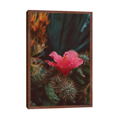 California Bloom II by Bethany Young - Print on Canvas