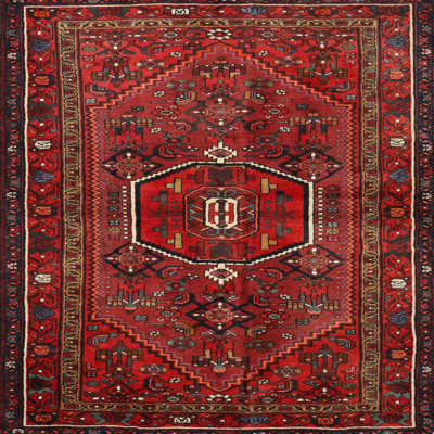 Sabala Oriental Indoor Rug