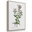 " Rose Botanical I " 3 - Pieces-91891244-91891239