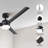 Brend 52'' Ceiling Fan with LED Lights-762079143