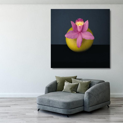 Orchid 1987