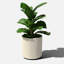 Pot à fleurs rond Demi Series-83894855-86823200-83894852