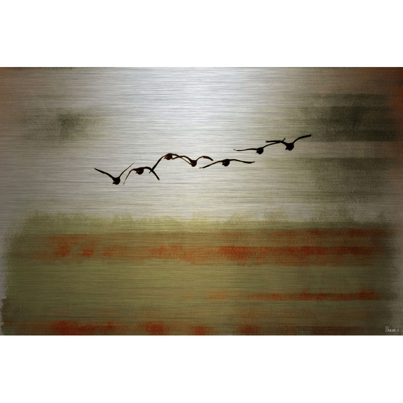 «Sun Flight on Metal» par Parvez Taj, reproduction, 40 po x 60 po
