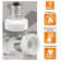 Intermediate to Candelabra Light Bulb Socket Adapter