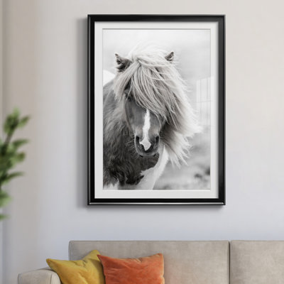 Shetland Summer par Danita Delimont - reproduction d'art sur papier encadrée