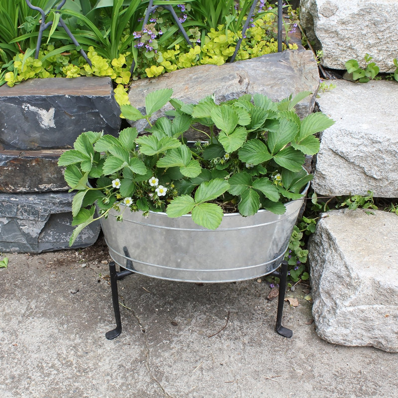 Nierra Metal Pot Planter
