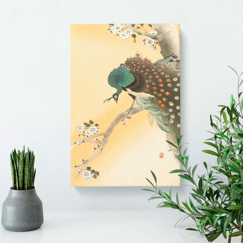 Peacock On A Cherry Blossom Tree by Ohara Koson - Wrapped Canvas, 50cm H x 35cm W x 3cm D