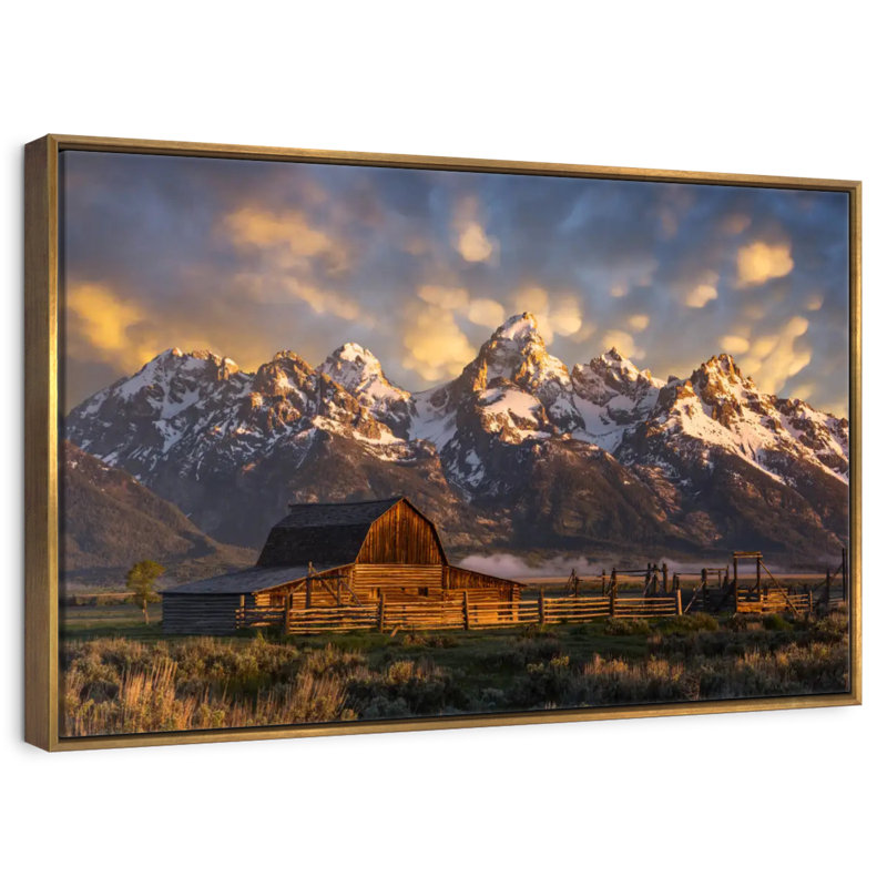Mormon Row Barn, 25 po x 17 po, Cadre flottant doré