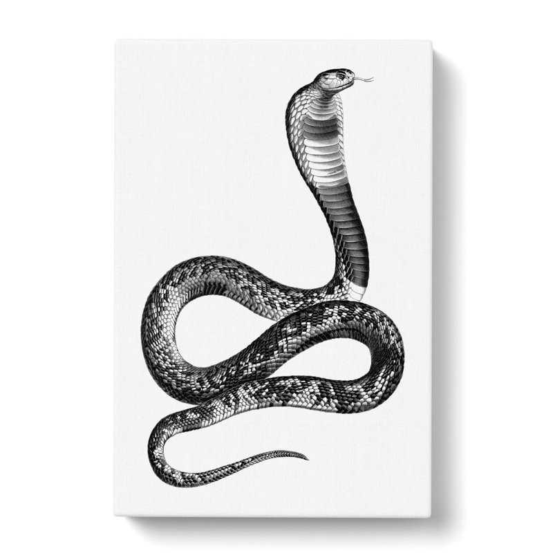 Viper Snake Illustration - Wrapped Canvas, 50cm H x 35cm W x 3cm D