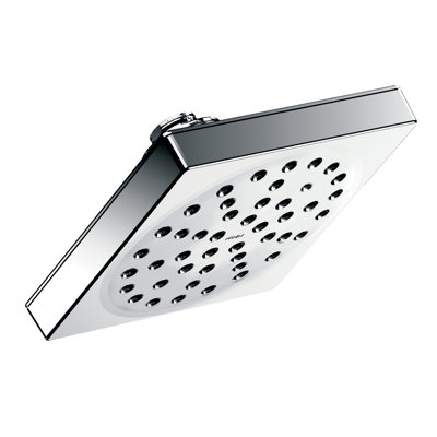 90 Degree Shower Head with Immersion