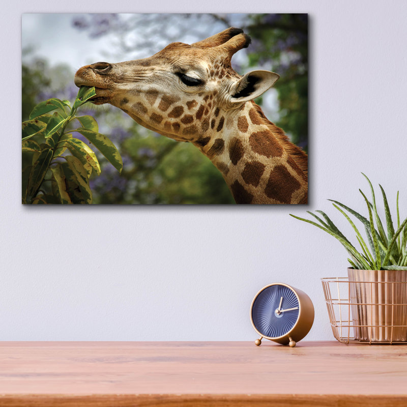 " Giraffe " Print, 12" H x 16" W