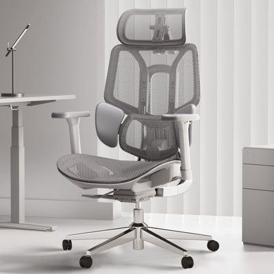 Makyla Hbada E3 Ergonomic Office Chair with Tilt Mechanism and Computer Comfy Executive Chair -  Inbox Zero, 8B934F5C2C4C43C0AA94FD2C034318C1