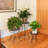 Metal Plant Stand-61508537